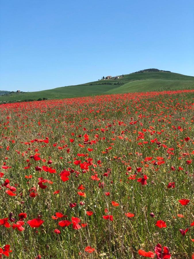 Agriturismo Poggio Tobruk Pienza Exterior foto